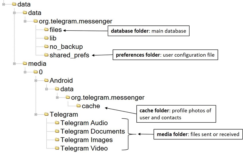 Access the Telegram Database on Devices